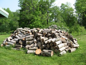 unsplit firewood