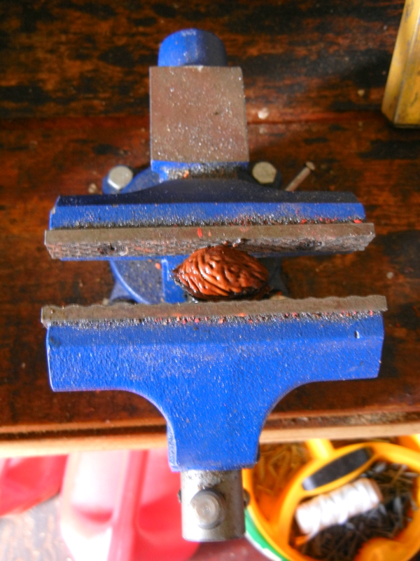 peach pit in vise