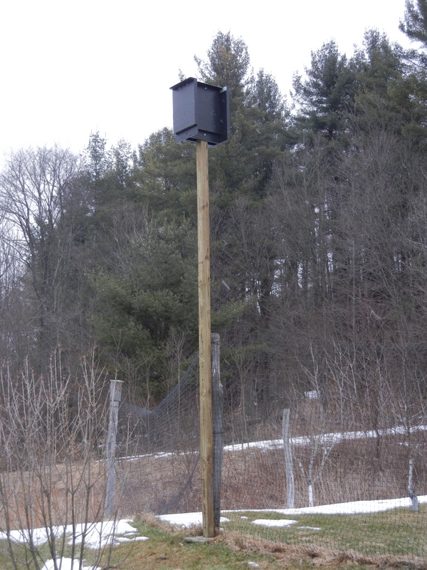 orchard bat house